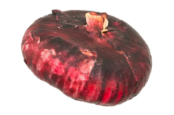 Red onion close-up 3d rendering with realistic texture — Stock Photo, Image