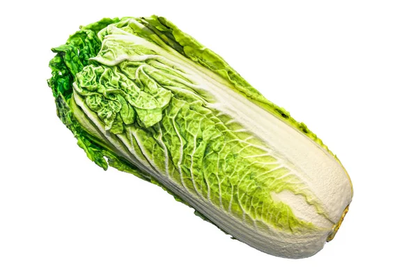 Napa cabbage close-up 3d rendering with realistic texture — Stok fotoğraf