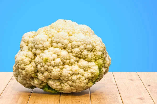 Cauliflower 3D rendering met realistische textuur — Stockfoto