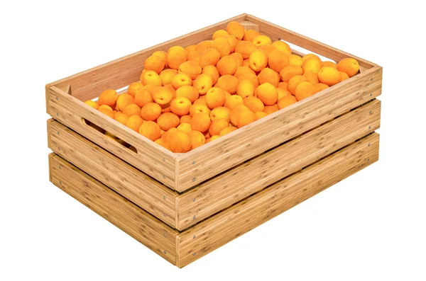 Abricots dans la caisse en bois, rendu 3D — Photo