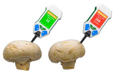 Mantarlı nitrat testçileri