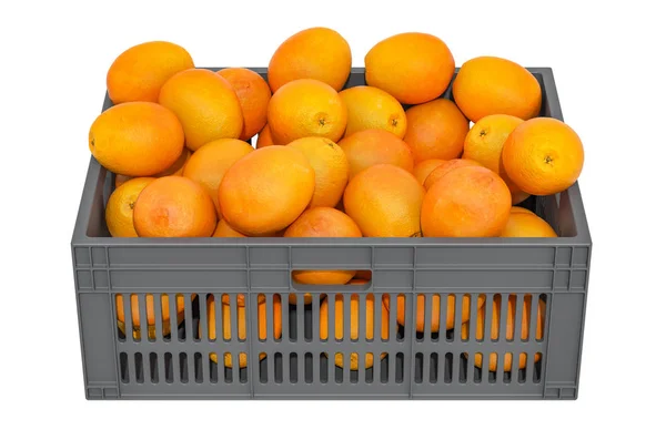 Oranges dans la caisse en plastique, rendu 3D — Photo