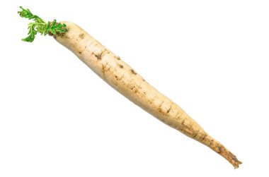 Daikon 3d gerçekçi dokuya sahip