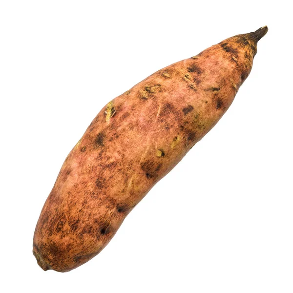Zoete aardappel, garen 3d rendering met realistische textuur — Stockfoto