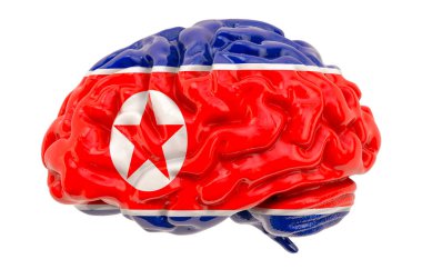 Kuzey Kore bayrağı taşıyan insan beyni. Kuzey Kore konseptinde bilimsel araştırma ve eğitim, beyaz arka planda 3 boyutlu görüntüleme
