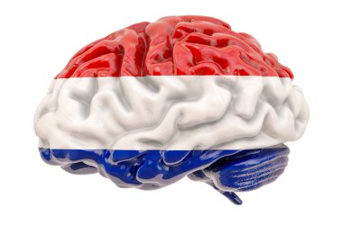 Hollanda bayrağı taşıyan insan beyni. Hollanda konseptinde bilimsel araştırma ve eğitim, beyaz arka planda izole edilmiş 3D