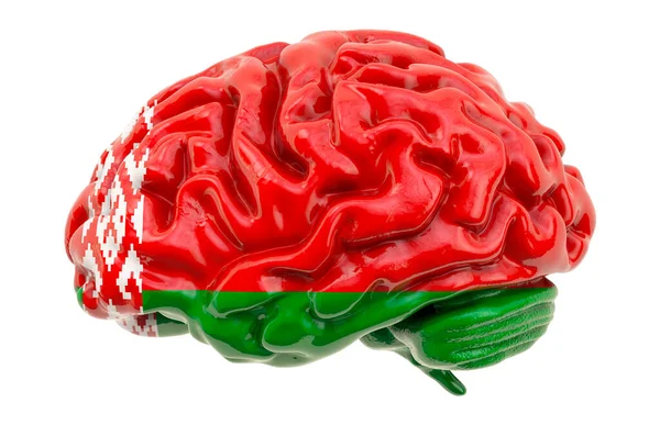 Cerebro Humano Con Bandera Bielorrusa Investigación Científica Educación Bielorrusia Concepto — Foto de Stock