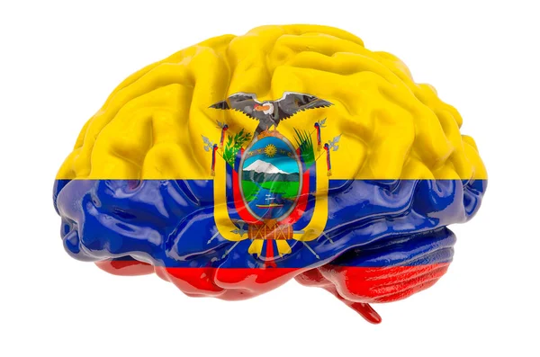 エクアドルの旗を持つ人間の脳 エクアドルの科学研究と教育概念 白い背景に隔離された3Dレンダリング — ストック写真