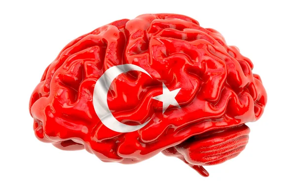 Otak Manusia Dengan Bendera Turki Penelitian Ilmiah Dan Pendidikan Turki — Stok Foto