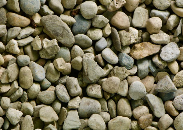 Washington Başkent Binası