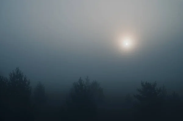 Восход солнца над туманным пейзажем — стоковое фото