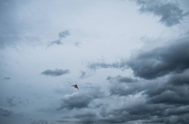 Renkli uçurtma bulutlu bir fırtınalı gökte uçan.