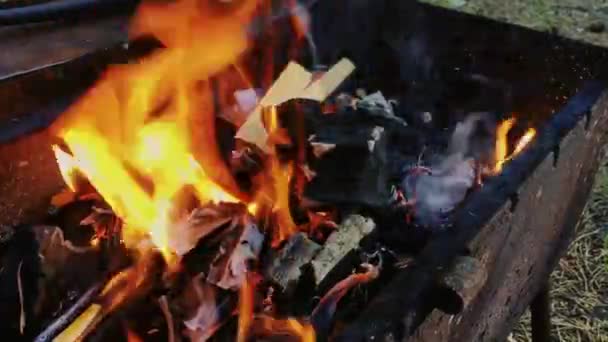 Burning Coal Firewood Grilling — Stock Video