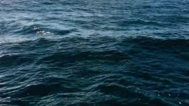 Dalgalanan derin mavi deniz suyunun yüzeyi.