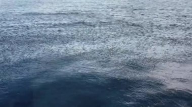 Sakin mavi bir denizin yüzeyinde dalgalar.