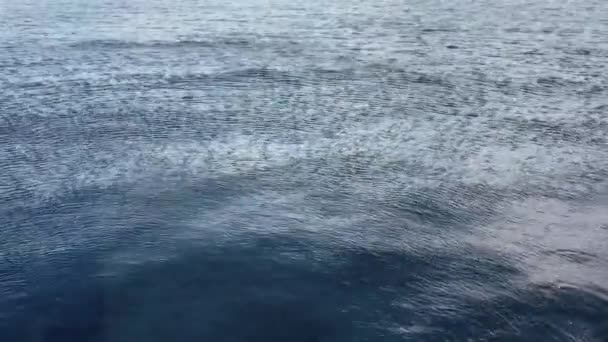 穏やかな青い海の表面に波紋 — ストック動画