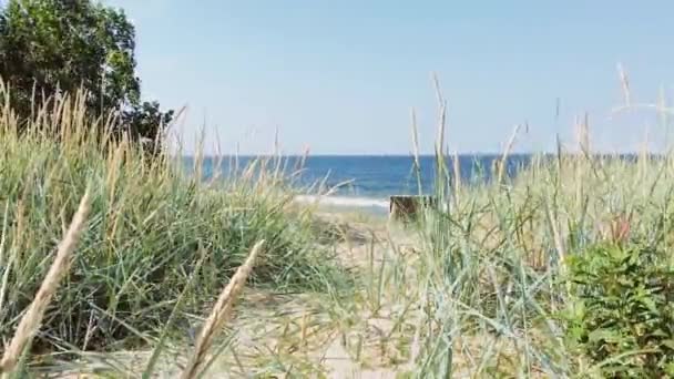 Αμμώδης Καλοκαιρινή Παραλία Μια Ζεστή Ηλιόλουστη Μέρα — Αρχείο Βίντεο