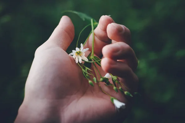 Holding a fragile broken flower in a palm of a hand.
