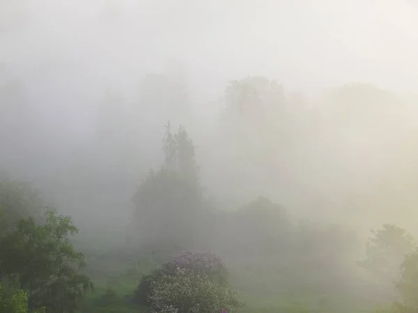 Foggy Park Dans Une Zone Urbaine Lors Lever Soleil Idyllique — Photo