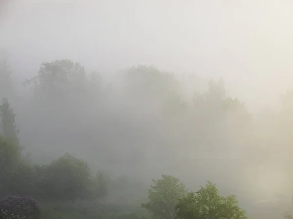 Nebliger Park Stadtgebiet Bei Einem Idyllischen Morgensonnenaufgang — Stockfoto