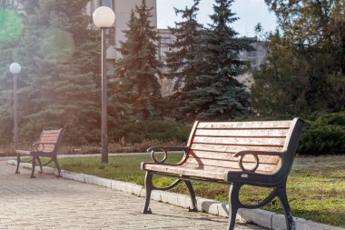 Güneş ışınları altında şehir parkta bir bankta