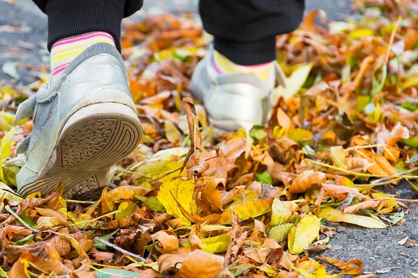 Childrens feet on yellow leaves