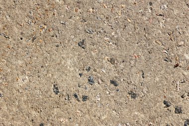 Eski yıpranmış, doku yıpranmış beton kaldırım.