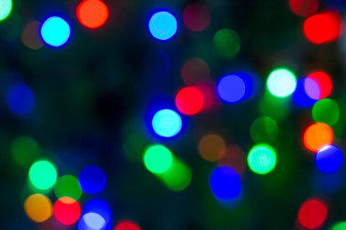 Güzel dikenli yeşil çam dalları arka plan olarak