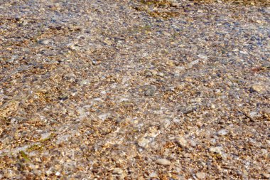 Arka plan olarak su altında deniz taşları