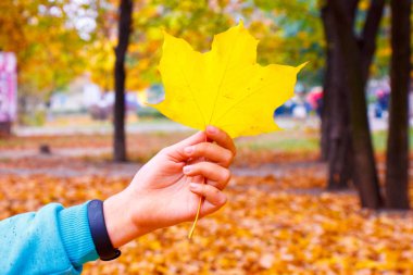 Sarı altın sonbahar yaprakları gösteren çocuk elleri