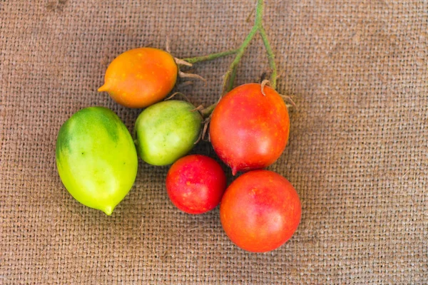 Recién cortado rojo amarillo verde tomates se encuentran en la arpillera — Foto de Stock