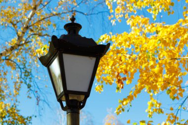 Mavi gökyüzü ve sonbahar yapraklarının arka planında bir şehir parkında fener..