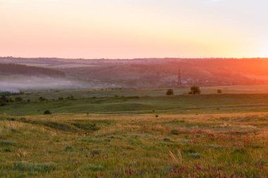 Parlak, güneşli gün batımı çayırın üzerinde.