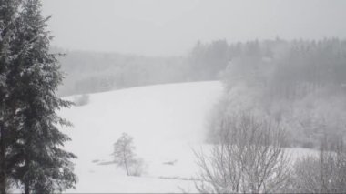 Zaman atlamaları Ormanlı bir dağda kar fırtınası görünümü