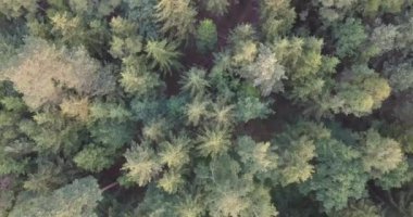yavaş Drone karışık üzerinde sinek yukarıdan aşağıya doğru havadan vurdu