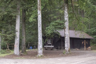 Ormandaki küçük avcı kulübesi.