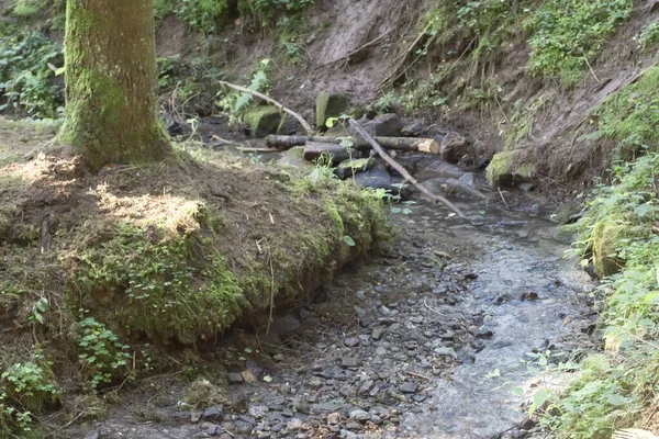 Kleiner Bachlauf in einem Mischwald in Deutschland — Stockfoto