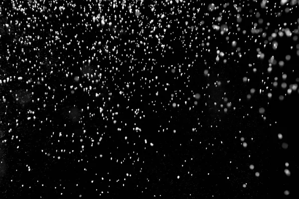 Chute Neige Sur Fond Noir — Photo