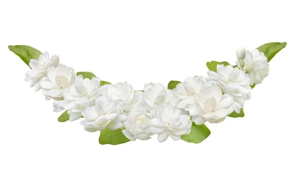 Flor de jazmín aislada sobre fondo blanco, símbolo de la madre — Foto de Stock