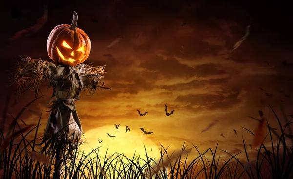 Хэллоуин тыква пугало на широком поле с луной на S — стоковое фото