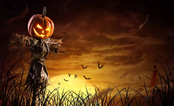 bir s üzerinde ay ile geniş bir alanda halloween kabak korkuluk