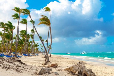 Avuç içi ve plaj Punta Cana Dominik Cumhuriyeti Yatlar