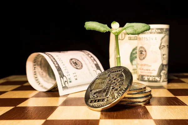 The growth of investments in the industry Initial Coin Offering. Green sprout from gold coins of electronic currency and cash dollars - as a concept of business strategy in ICO.