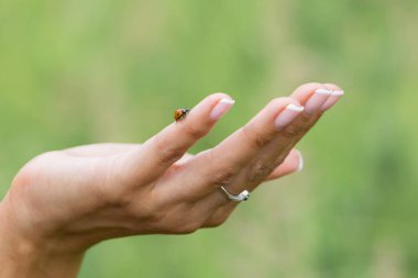 Uğur böceği kadın el uçmak için tarar. Kızın elini birisi onun çabaları destekleyici bir kavram olarak.