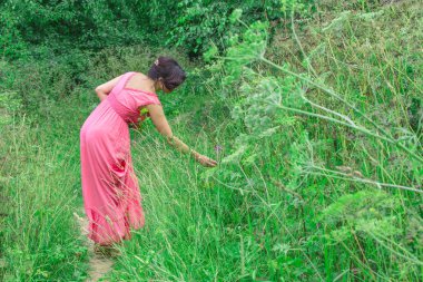 Bir kadın ormandaki şifalı otlar toplar. Kız uzun pembe bir elbise giyer.