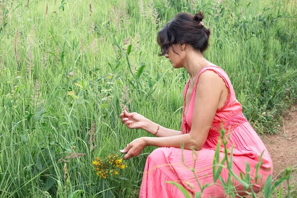 中年の女性は緑の牧草地に薬草を収集します — ストック写真