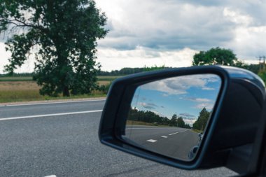 Ormanın ortasında asfalt yol. Yol işaretleme.