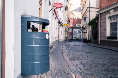 Sokaklarda çöp. Tarihi yerler ve şehirler kirliliği ve çevrenin korunması sorunu kavramı.