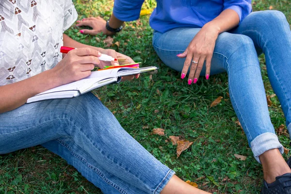 两个黑发女孩讨论一个计划 并写信给笔记本 概念设计想和创意理念 夏日公园草地上的女人 — 图库照片