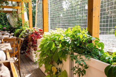 Bir tablo üzerinde bir güneşli sabah bir yaz kafede. İç tasarım örneği.